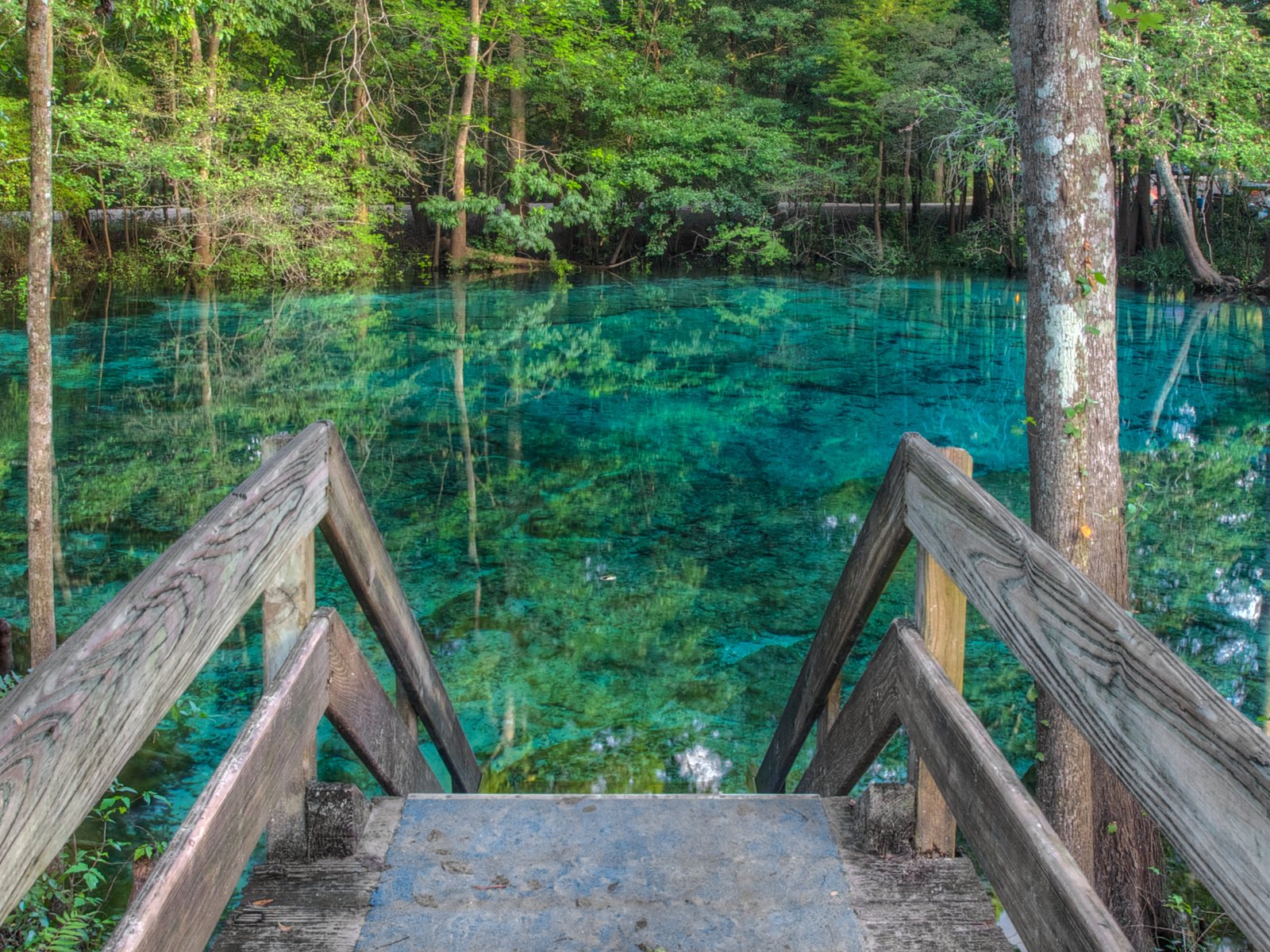 Wooden steps leading down to a clear turquoise freshwater spring ringed by cypress trees in North Central Florida